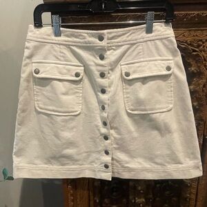 Alexa Chung A-Line Skirt